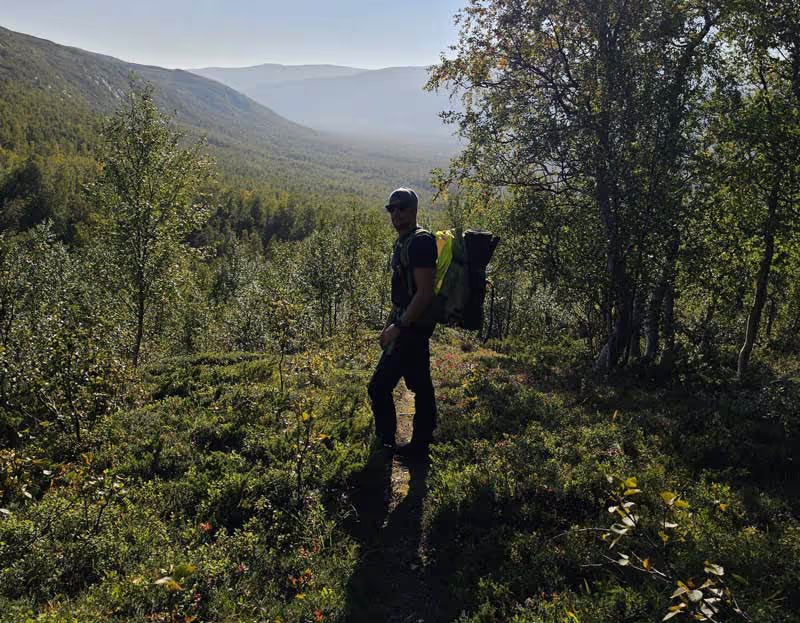 Den svenska svampskogen - en höstklassiker