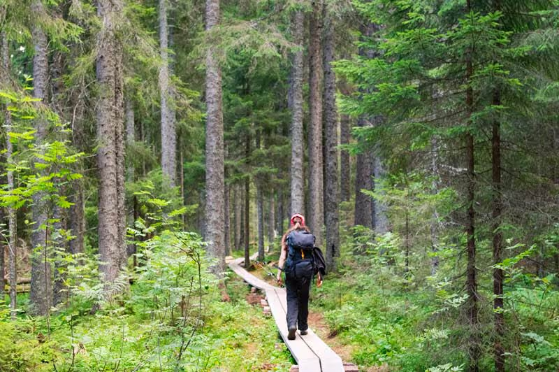 Packlista för en dagsvandring i fjällen