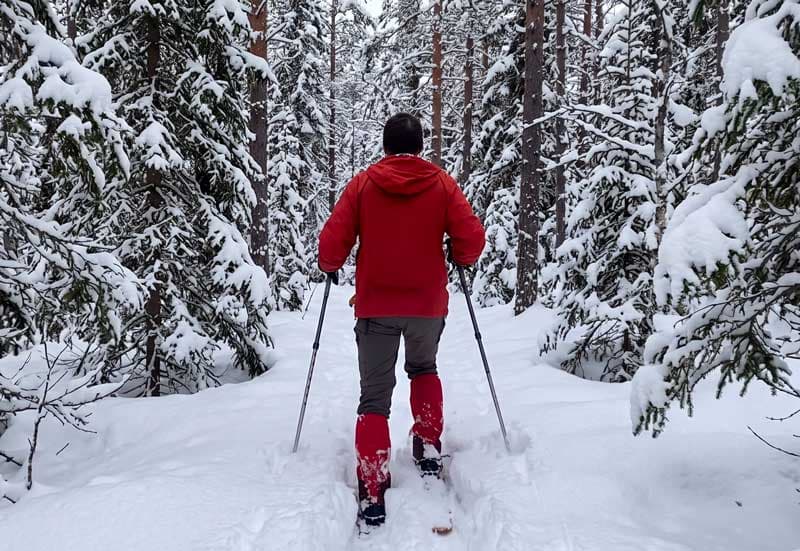 Skogsskidor – så väljer du skidor för lös snö i skogen 2026
