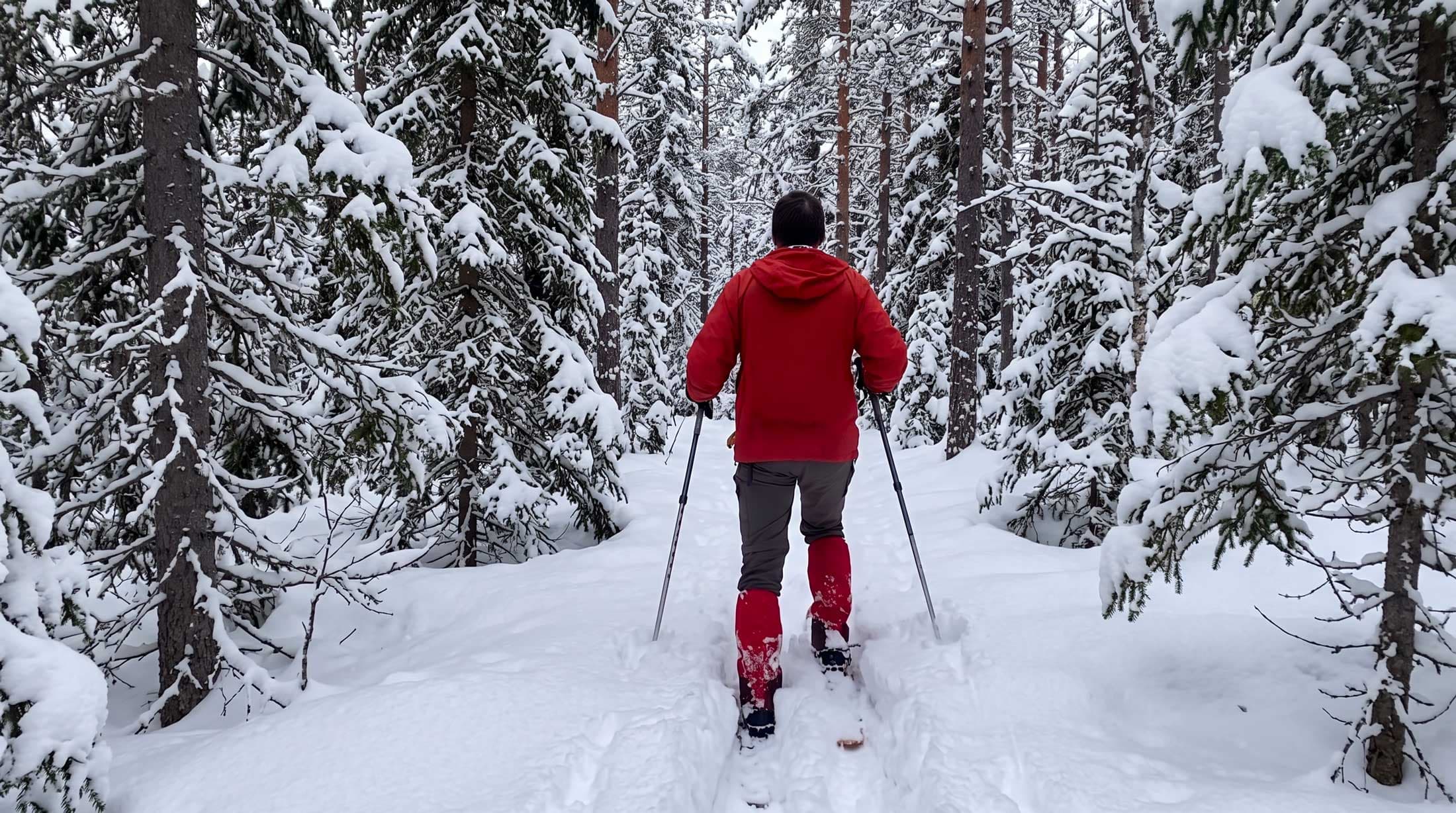 Skogsskidor – så väljer du skidor för lös snö i skogen 2026