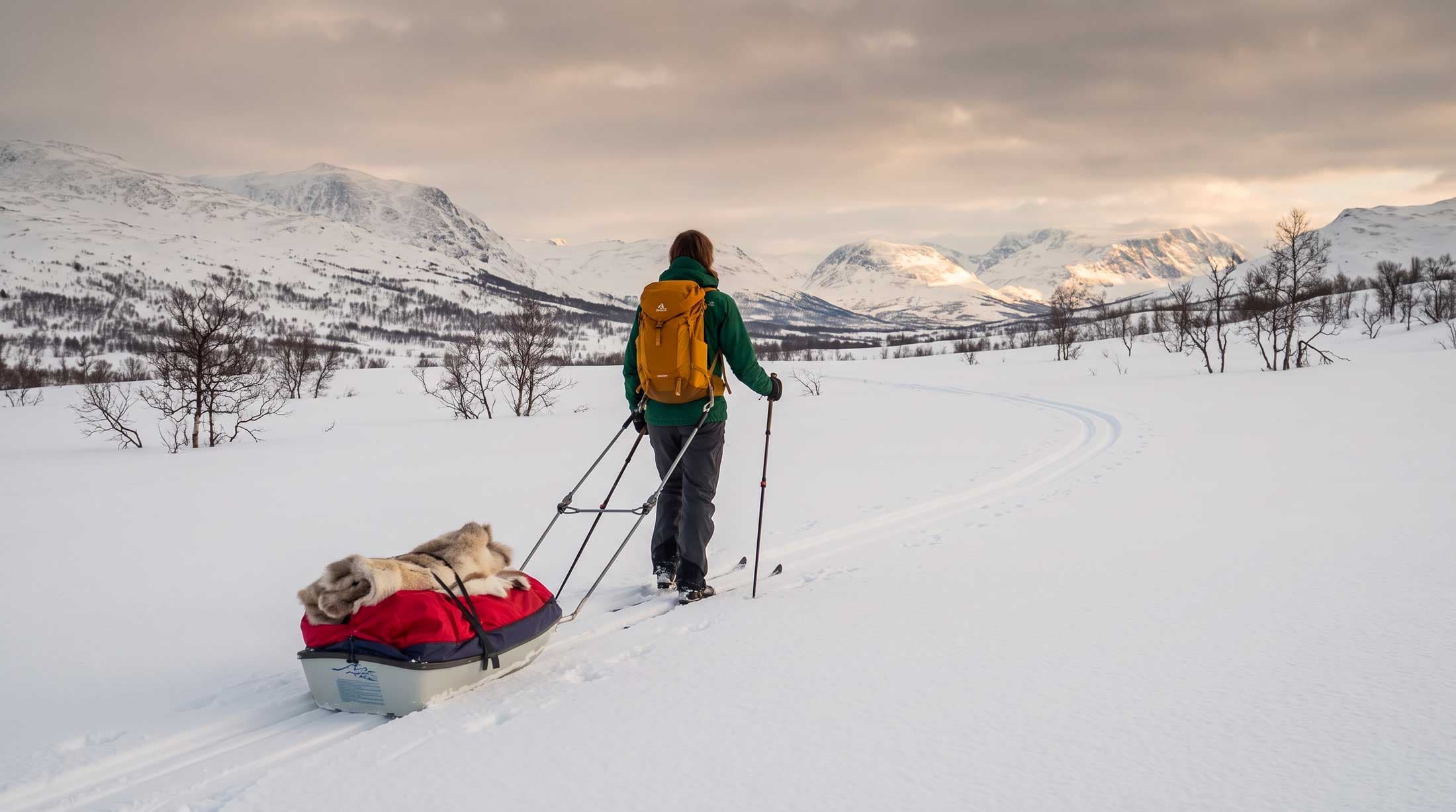 Turskidor – guide till val av skidor, bindning och pjäxor 2026